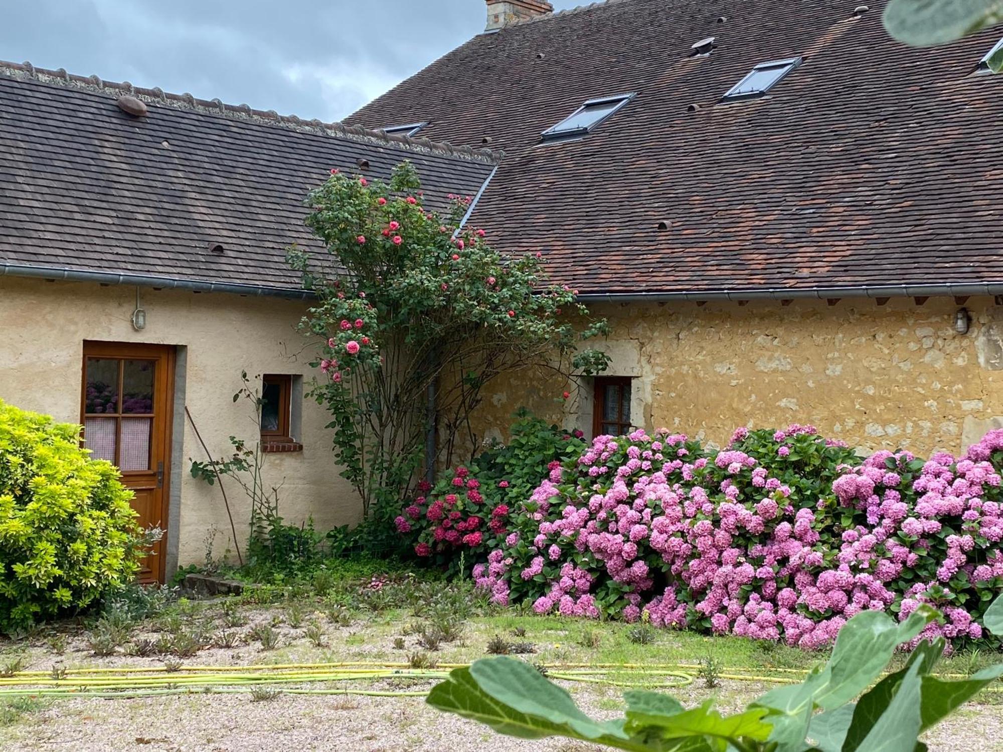 Chambre D'Hotes Du Domaine De La Haute Poignandiere Saint-Germain-de-la-Coudre Ngoại thất bức ảnh